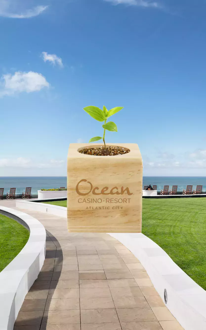 Earth Day Sweepstakes