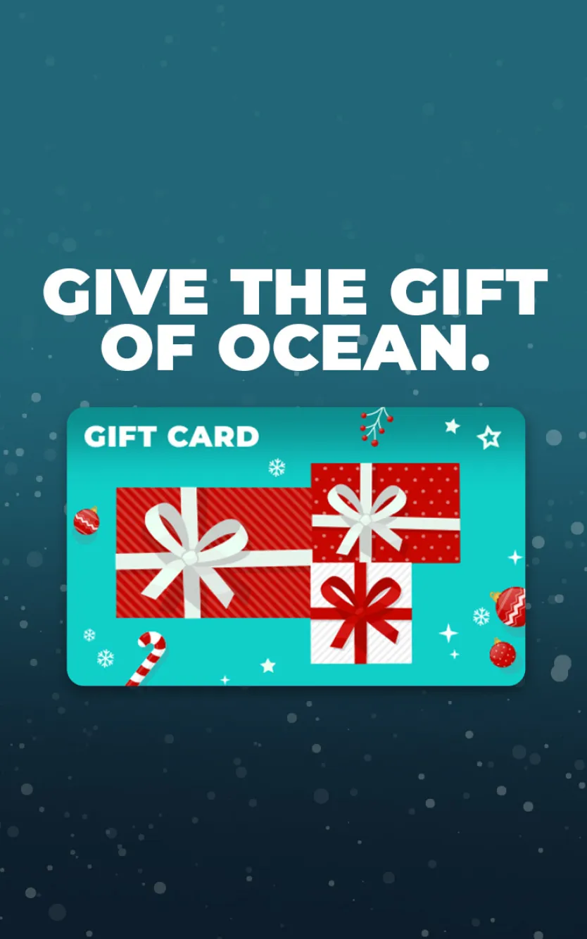 holiday gift card