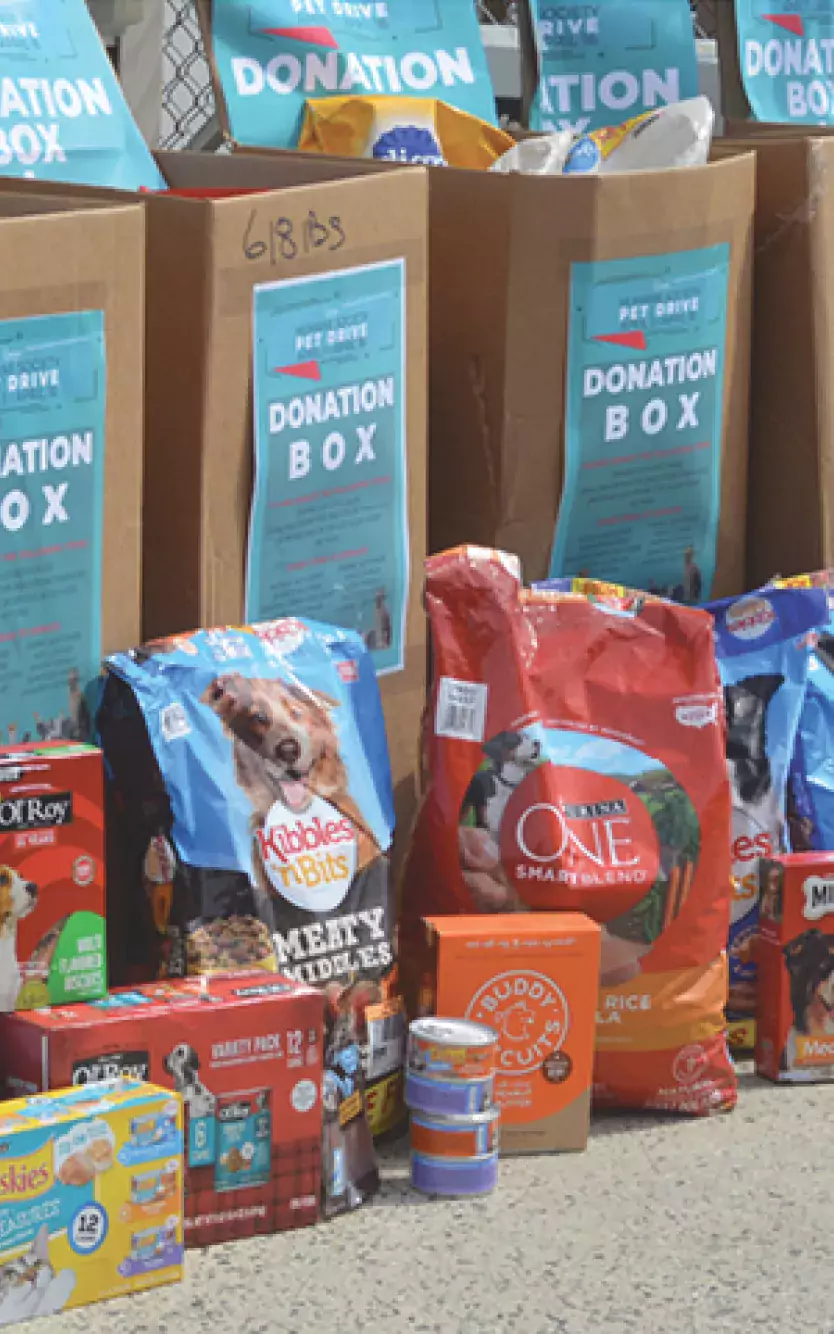 Donation bags for the Humane Society with dog food and treats
