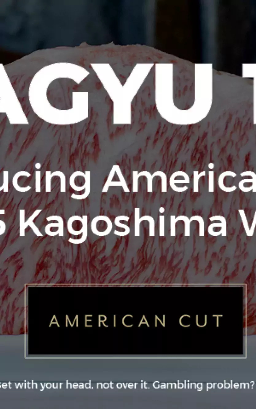 Image of Wagyu Beef cut with overlayed text saying "Wagyu 101" 