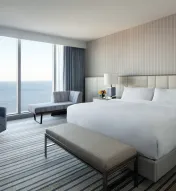 Contemporary Blu King Room