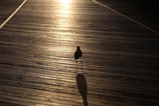 Atlantic City Boardwalk